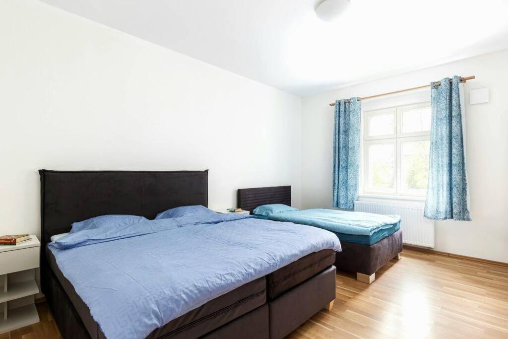 Apartamento Modern 6min From The Castle